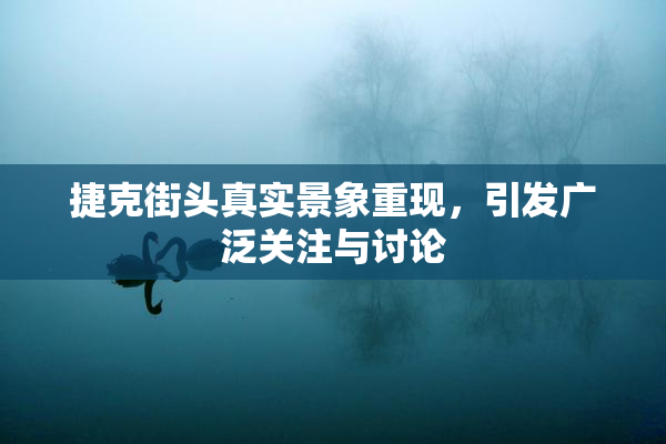 捷克街头真实景象重现，引发广泛关注与讨论