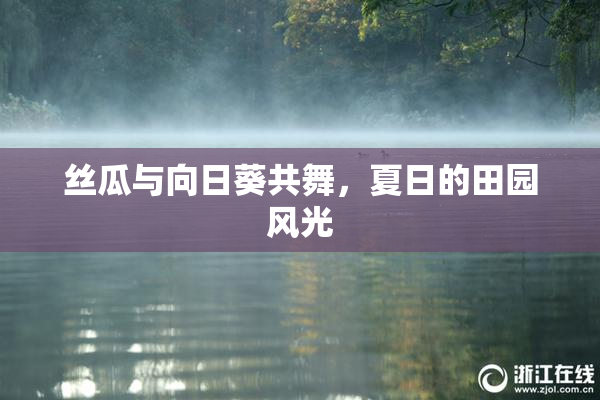 丝瓜与向日葵共舞，夏日的田园风光