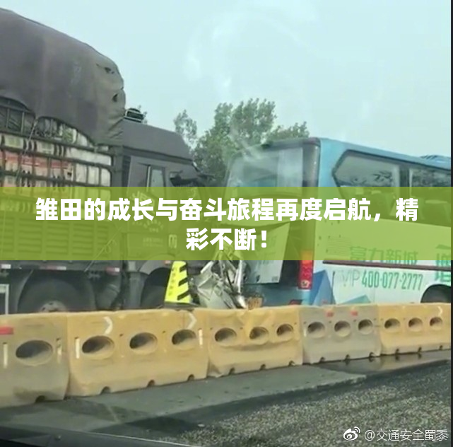 雏田的成长与奋斗旅程再度启航，精彩不断！