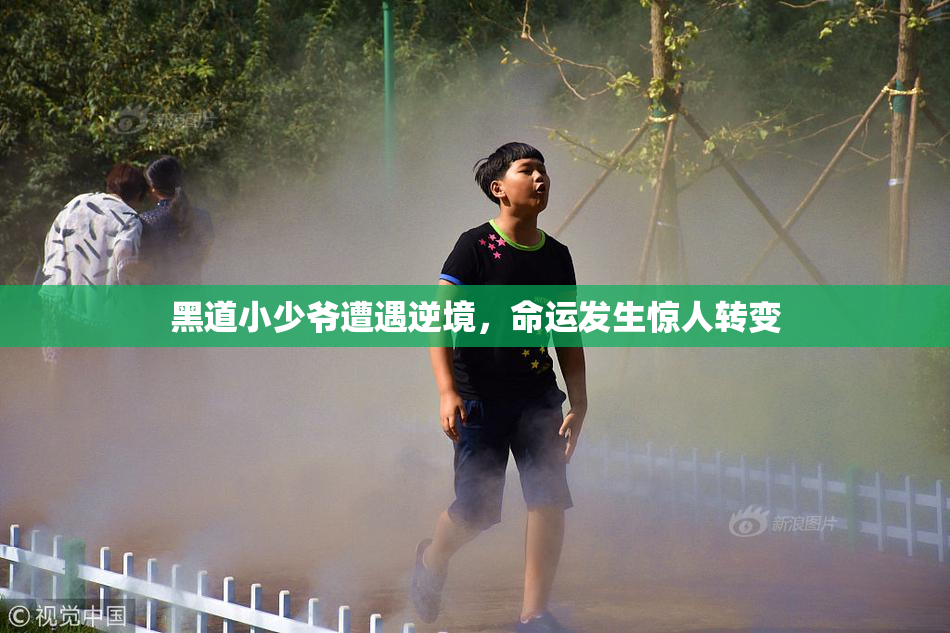 黑道小少爷遭遇逆境，命运发生惊人转变