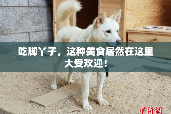 吃脚丫子，这种美食居然在这里大受欢迎！