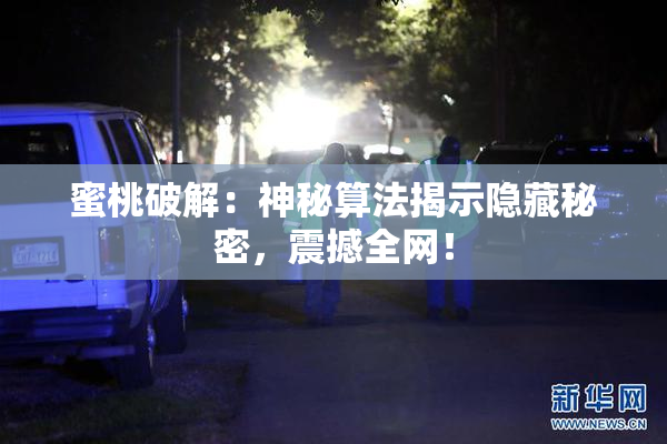 蜜桃破解：神秘算法揭示隐藏秘密，震撼全网！