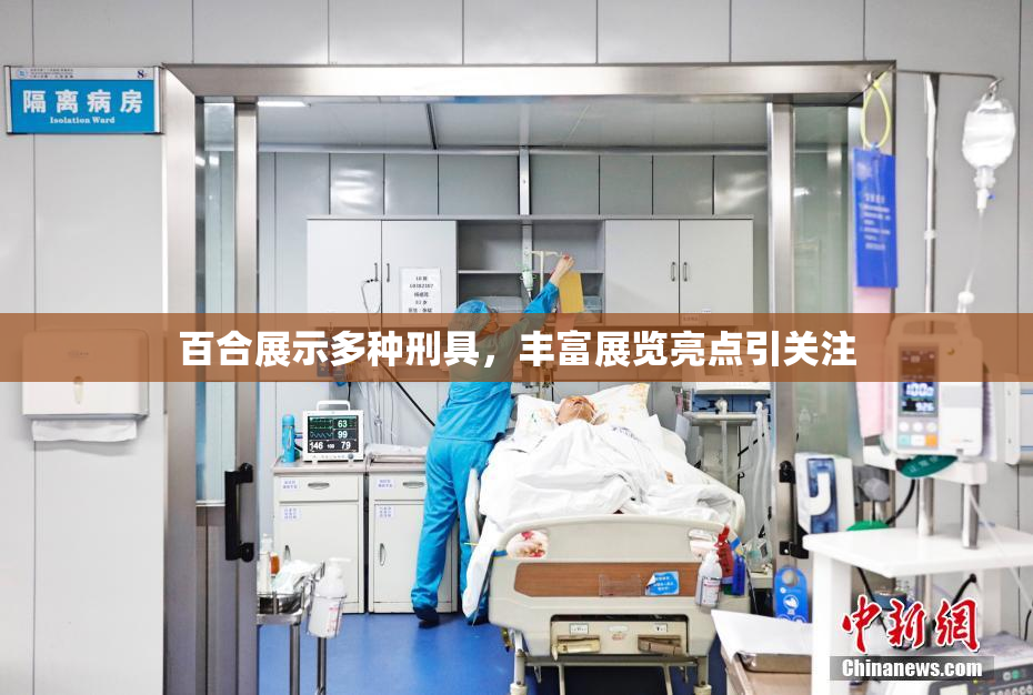 百合展示多种刑具，丰富展览亮点引关注
