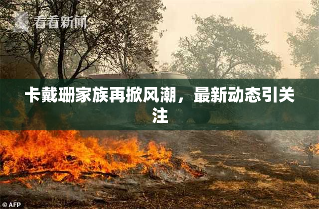 卡戴珊家族再掀风潮，最新动态引关注