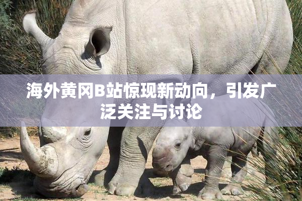 海外黄冈B站惊现新动向，引发广泛关注与讨论