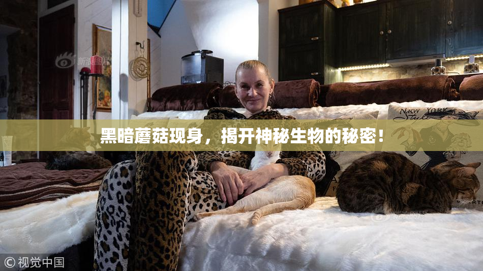 黑暗蘑菇现身，揭开神秘生物的秘密！