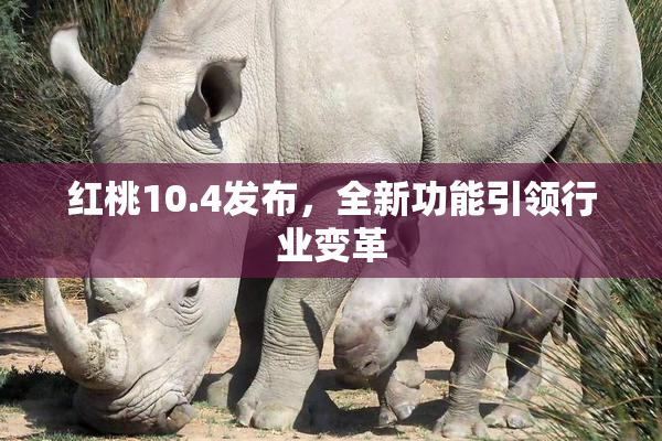 红桃10.4发布，全新功能引领行业变革