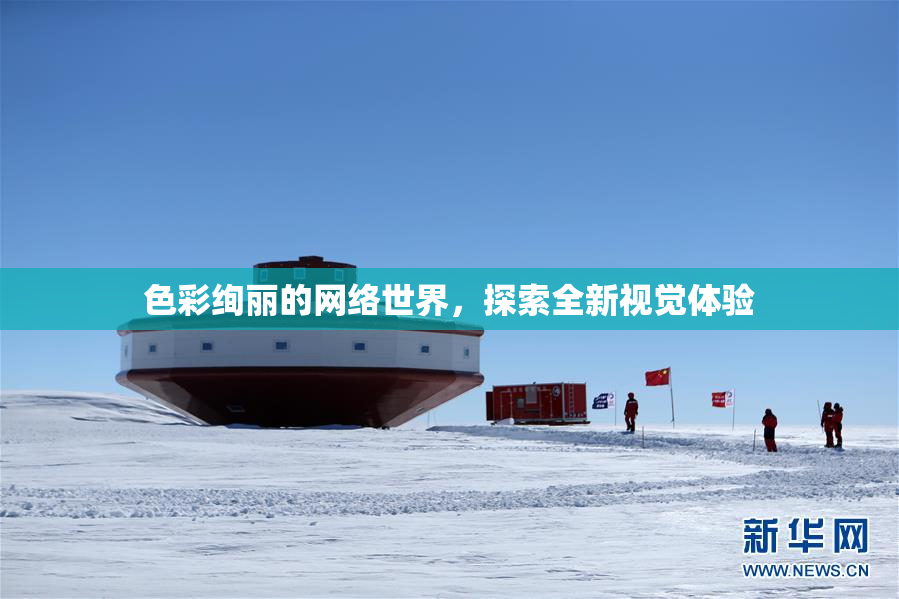 色彩绚丽的网络世界，探索全新视觉体验