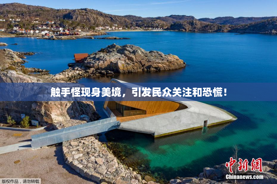 触手怪现身美境，引发民众关注和恐慌！