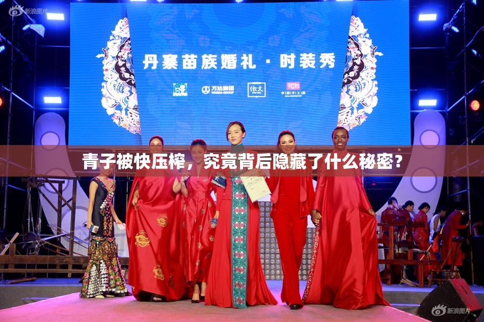 青子被快压榨，究竟背后隐藏了什么秘密？