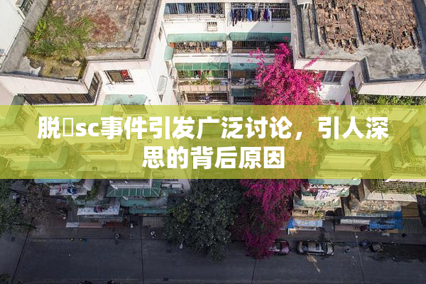 脱糞sc事件引发广泛讨论，引人深思的背后原因