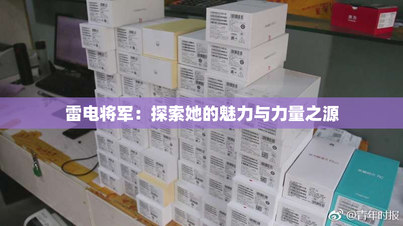 雷电将军：探索她的魅力与力量之源