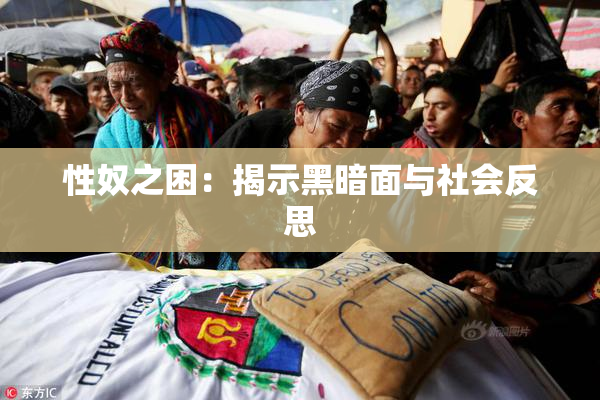 性奴之困：揭示黑暗面与社会反思