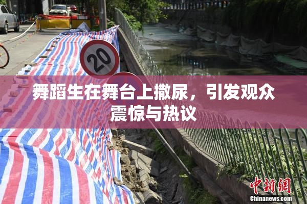 舞蹈生在舞台上撒尿，引发观众震惊与热议