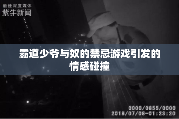 霸道少爷与奴的禁忌游戏引发的情感碰撞