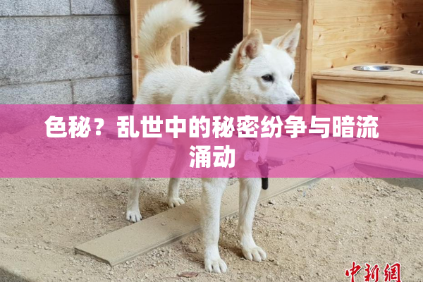 色秘？乱世中的秘密纷争与暗流涌动