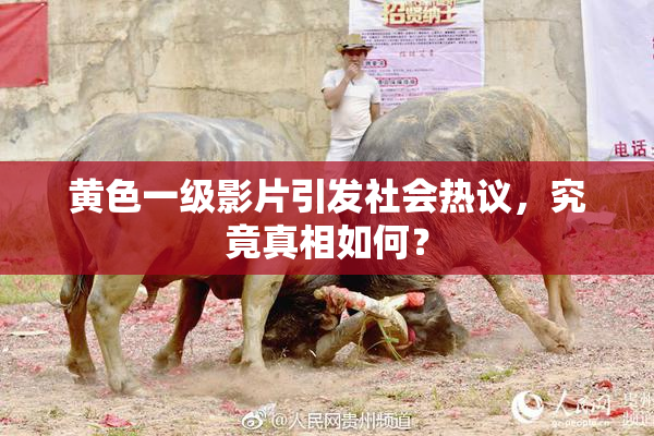 黄色一级影片引发社会热议，究竟真相如何？