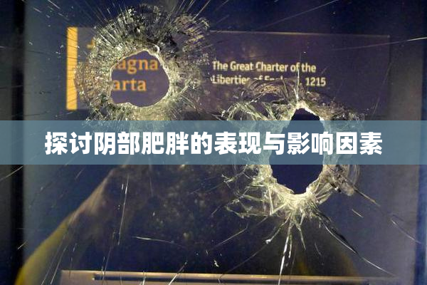 探讨阴部肥胖的表现与影响因素