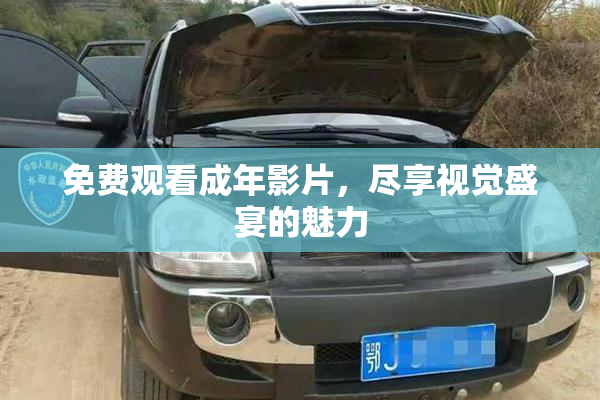 免费观看成年影片，尽享视觉盛宴的魅力