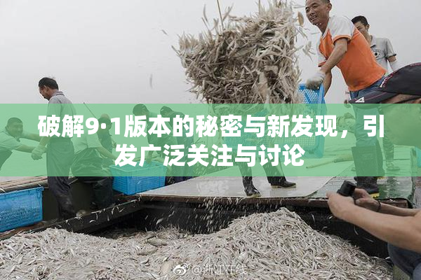 破解9·1版本的秘密与新发现，引发广泛关注与讨论