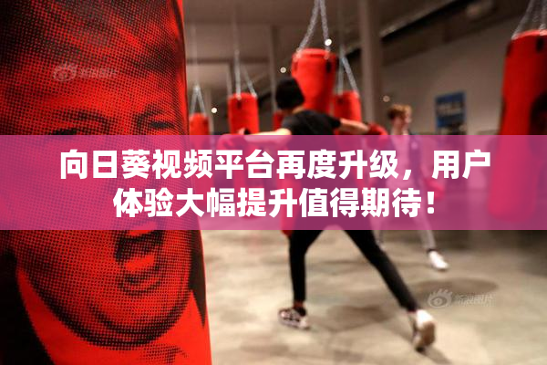 向日葵视频平台再度升级，用户体验大幅提升值得期待！