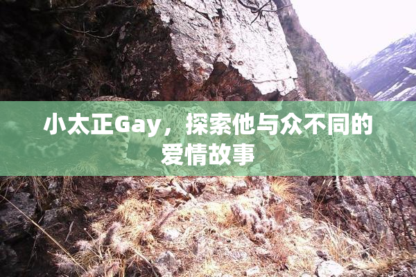 小太正Gay，探索他与众不同的爱情故事