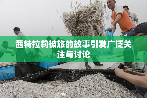 茜特拉莉被旅的故事引发广泛关注与讨论