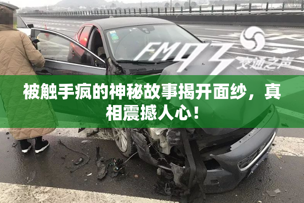 被触手疯的神秘故事揭开面纱，真相震撼人心！