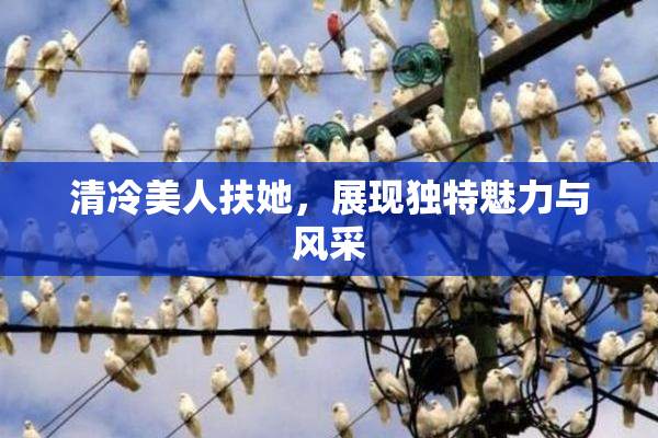 清冷美人扶她，展现独特魅力与风采
