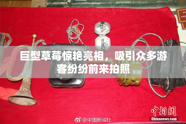 巨型草莓惊艳亮相，吸引众多游客纷纷前来拍照