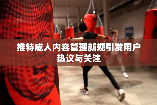 推特成人内容管理新规引发用户热议与关注