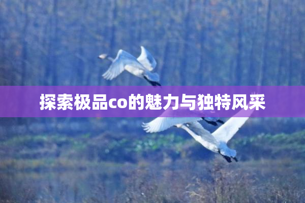 探索极品co的魅力与独特风采