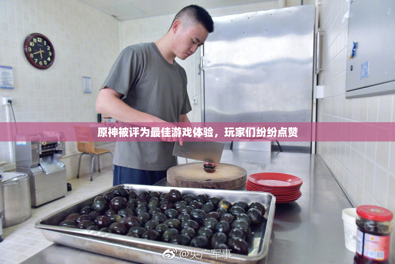 原神被评为最佳游戏体验，玩家们纷纷点赞