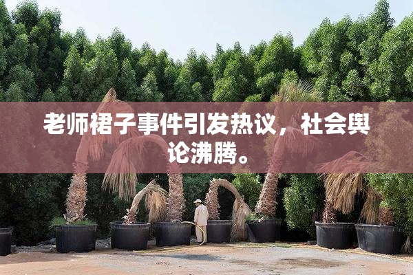 老师裙子事件引发热议，社会舆论沸腾。