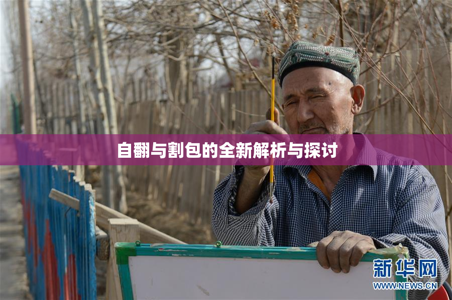 自翻与割包的全新解析与探讨