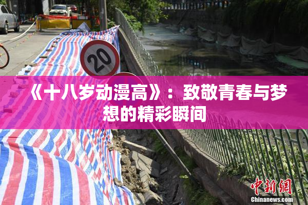 《十八岁动漫高》：致敬青春与梦想的精彩瞬间