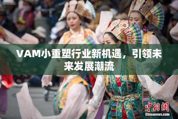 VAM小重塑行业新机遇，引领未来发展潮流