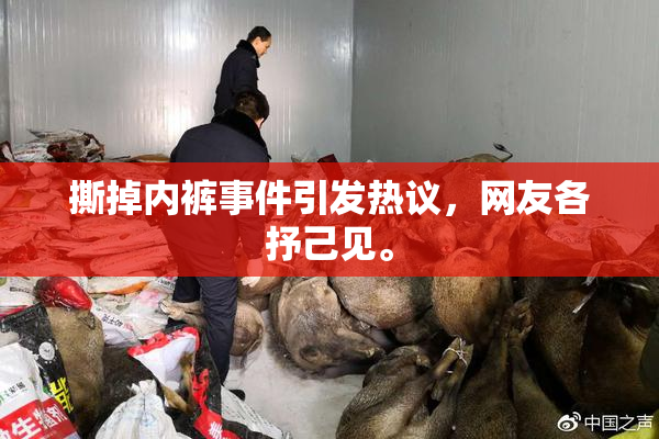 撕掉内裤事件引发热议，网友各抒己见。