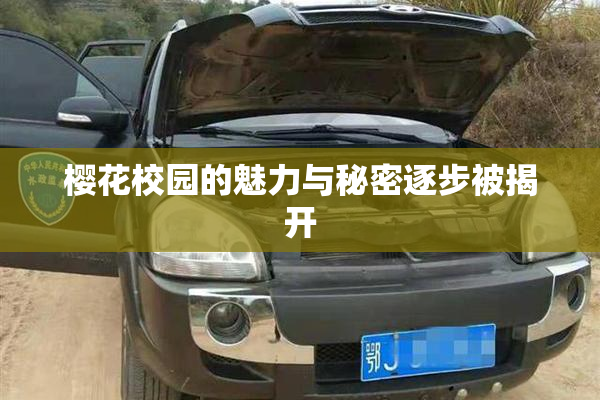 樱花校园的魅力与秘密逐步被揭开