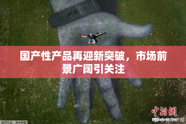 国产性产品再迎新突破，市场前景广阔引关注