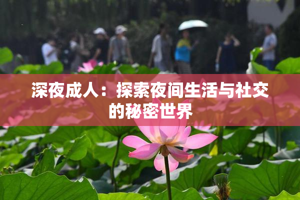 深夜成人：探索夜间生活与社交的秘密世界