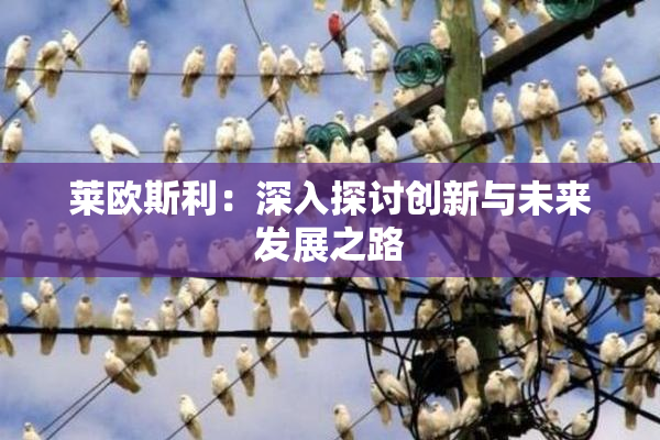 莱欧斯利：深入探讨创新与未来发展之路