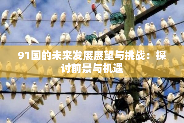 91国的未来发展展望与挑战：探讨前景与机遇