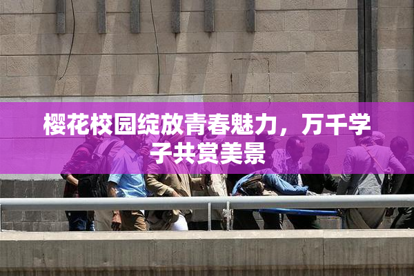 樱花校园绽放青春魅力，万千学子共赏美景