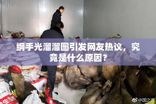 纲手光溜溜图引发网友热议，究竟是什么原因？