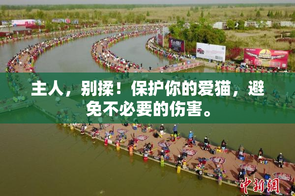主人，别揉！保护你的爱猫，避免不必要的伤害。