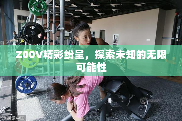 Z00V精彩纷呈，探索未知的无限可能性