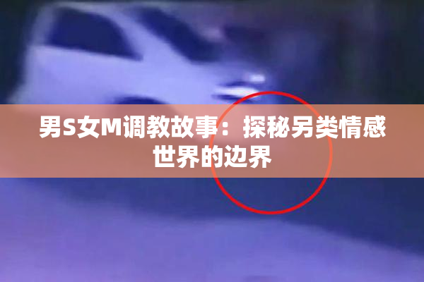 男S女M调教故事：探秘另类情感世界的边界