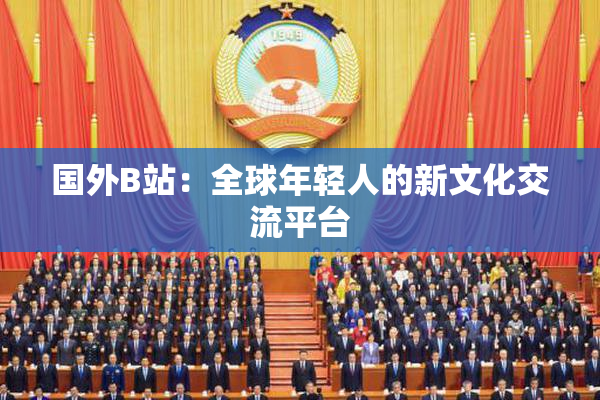 国外B站：全球年轻人的新文化交流平台