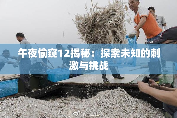 午夜偷窥12揭秘：探索未知的刺激与挑战